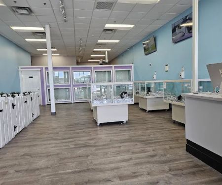 Puppyland Tolleson