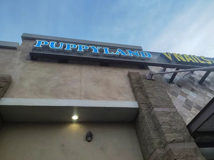 Puppyland Tolleson Picture 3