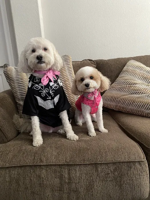 Petco Picture 2