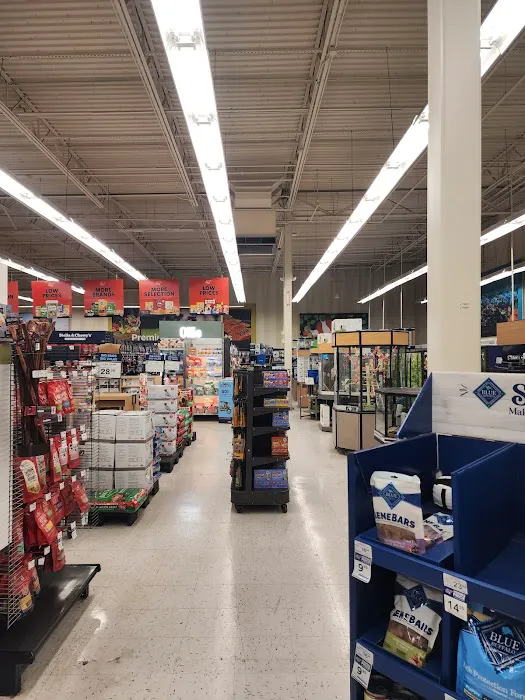 Petco Picture 5