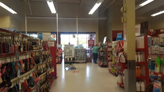 Petco Picture 8