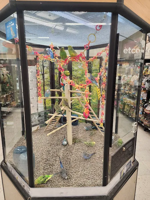 Petco Picture 9