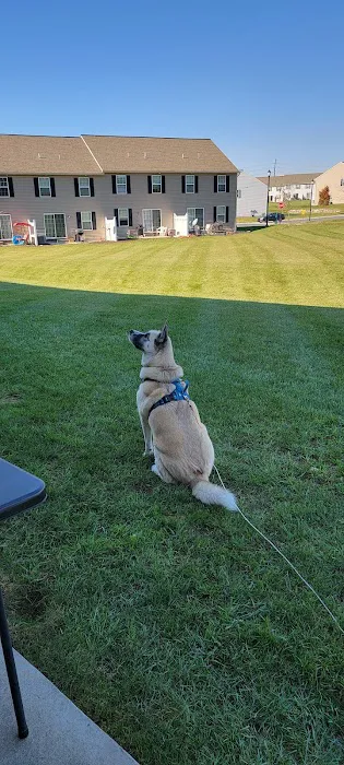 Annville Veterinary Hospital Picture 1