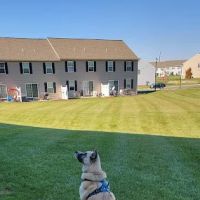 Annville Veterinary Hospital ico
