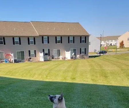 Annville Veterinary Hospital