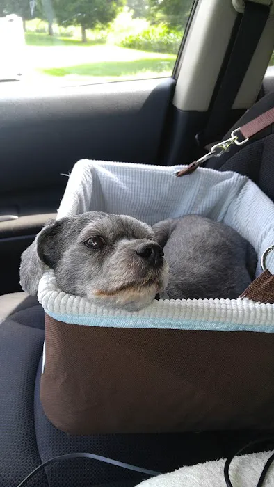 Annville Veterinary Hospital Picture 5
