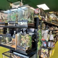 Scales 'N Tails Phoenix West ico