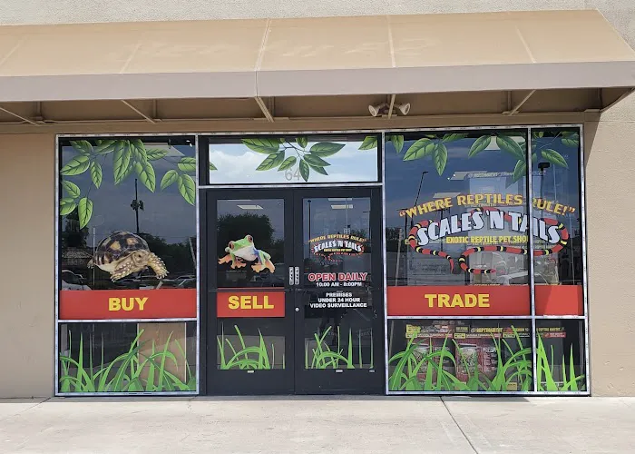 Scales 'N Tails Phoenix West Picture 3