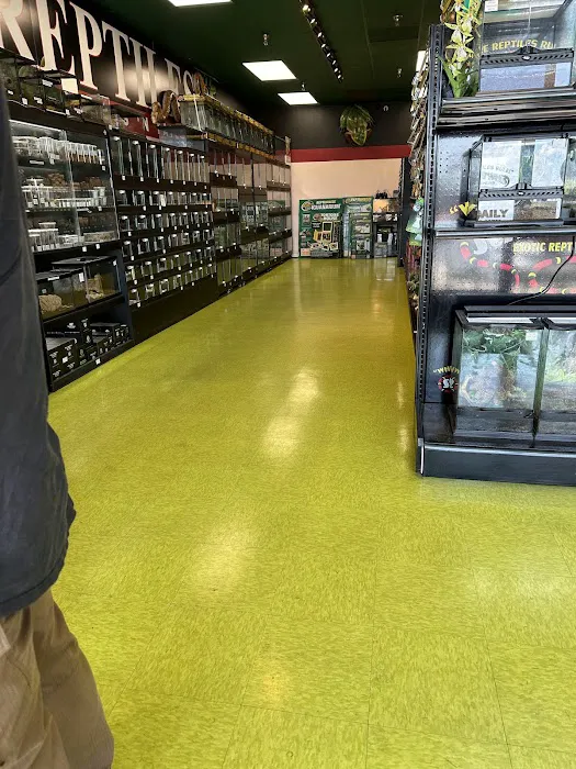 Scales 'N Tails Phoenix West Picture 6