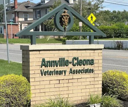 Annville-Cleona Veterinary Associates, Inc.