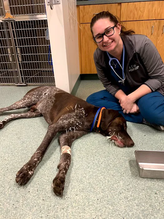 Annville-Cleona Veterinary Associates, Inc. Picture 5