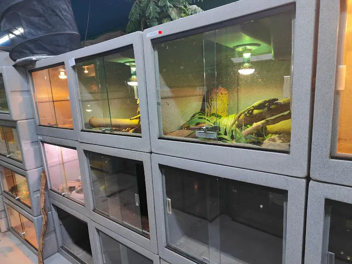 CUSTOM CREATURES PET SHOP Picture 4