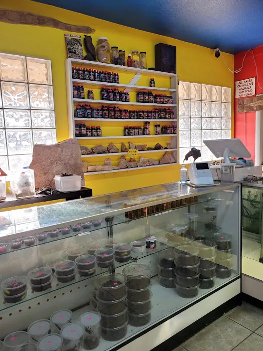 CUSTOM CREATURES PET SHOP Picture 5