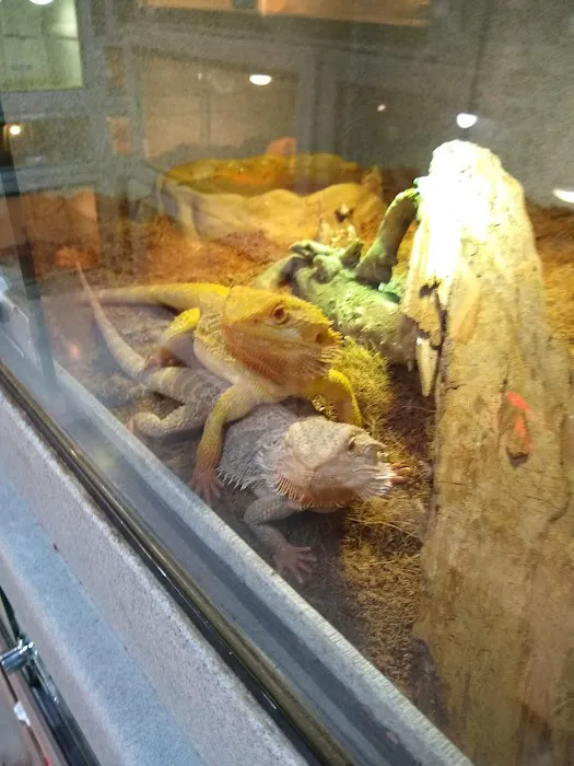 CUSTOM CREATURES PET SHOP Picture 3
