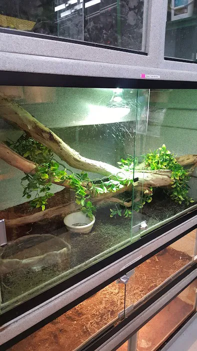 CUSTOM CREATURES PET SHOP Picture 7