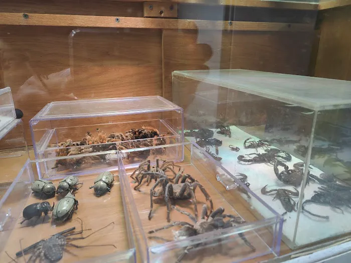 CUSTOM CREATURES PET SHOP Picture 9
