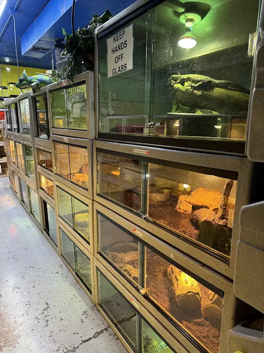 CUSTOM CREATURES PET SHOP Picture 10
