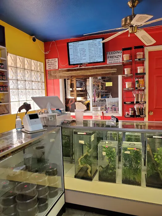 CUSTOM CREATURES PET SHOP Picture 8