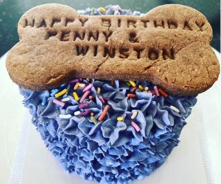 Donnie's Doggie Desserts LLC