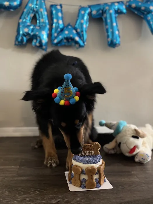Donnie's Doggie Desserts LLC Picture 3