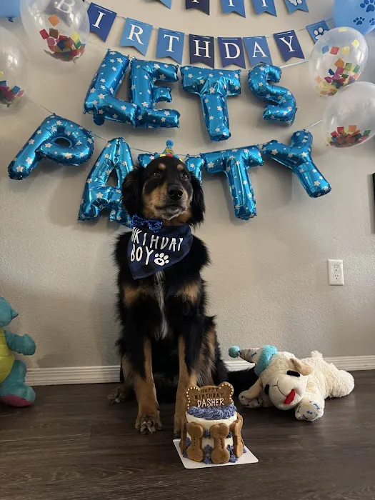Donnie's Doggie Desserts LLC Picture 8