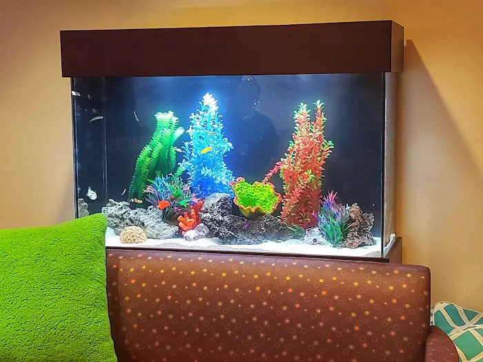 That Big Fish Store Picture 3