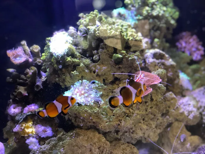 That Big Fish Store Picture 4