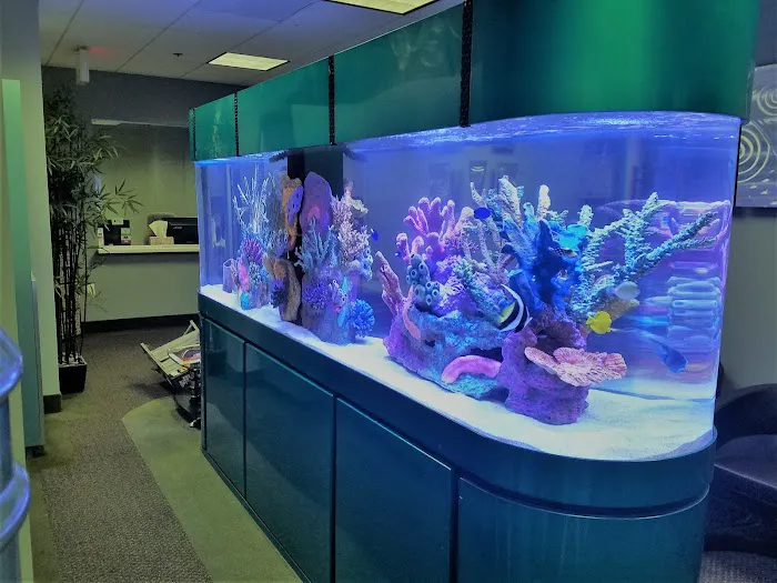 That Big Fish Store Picture 5