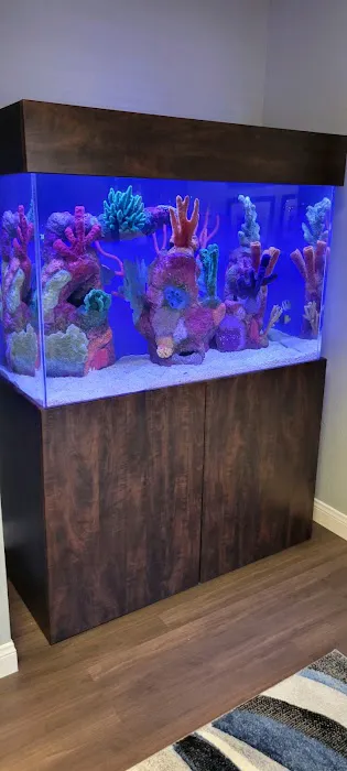 That Big Fish Store Picture 9
