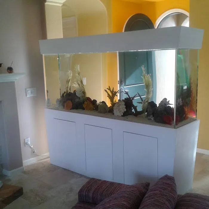 That Big Fish Store Picture 7