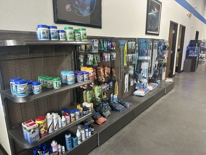 That Big Fish Store Picture 1