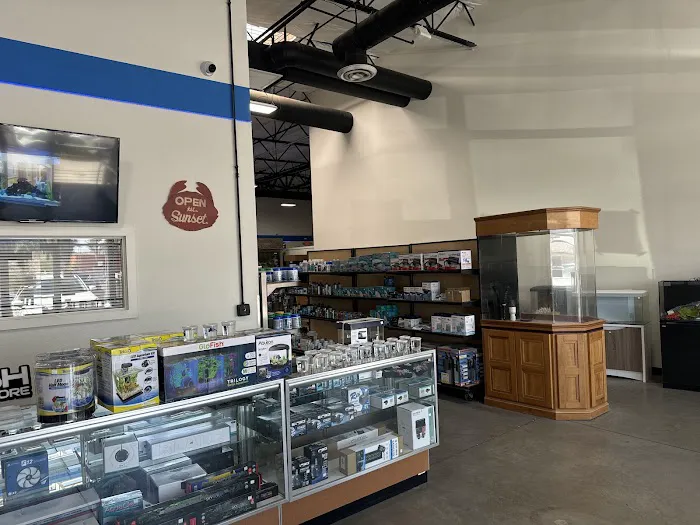 That Big Fish Store Picture 2