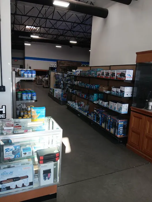 That Big Fish Store Picture 4