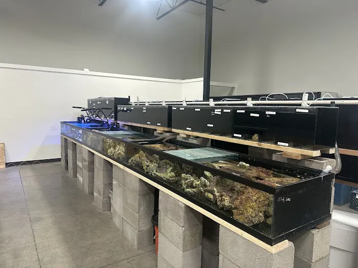 That Big Fish Store Picture 5