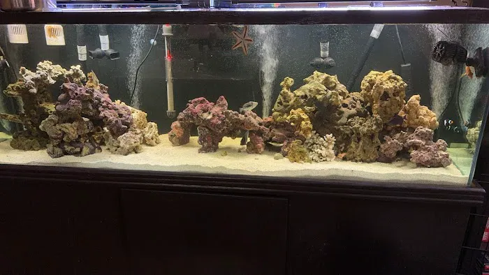 That Big Fish Store Picture 3