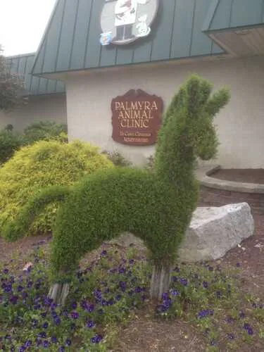 Palmyra Animal Clinic Picture 3
