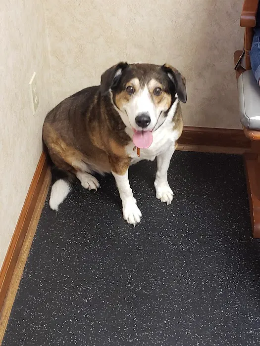 Palmyra Animal Clinic Picture 7