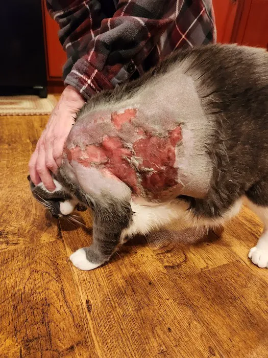 Palmyra Animal Clinic Picture 8