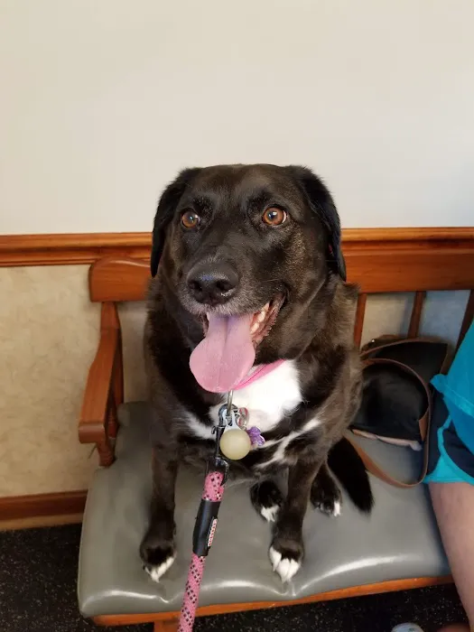 Palmyra Animal Clinic Picture 10