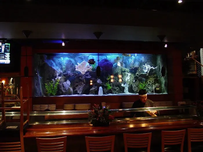 Southwest Seas Picture 2