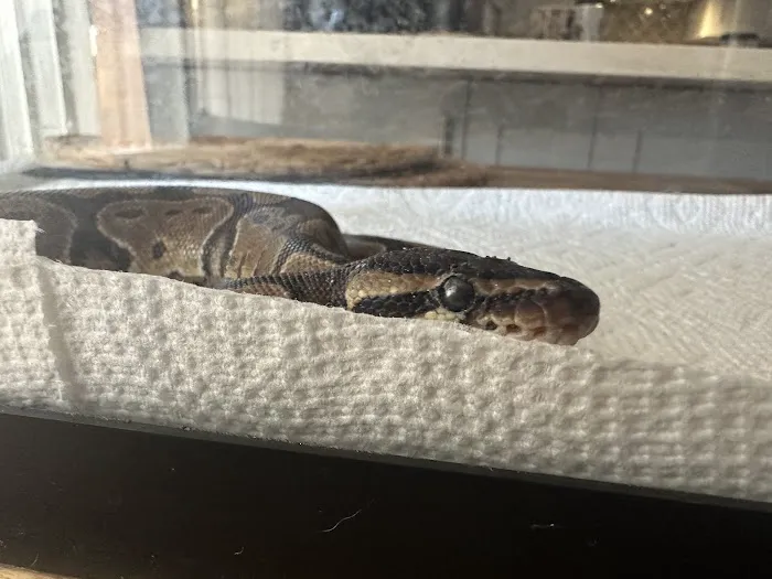 Petco Picture 8