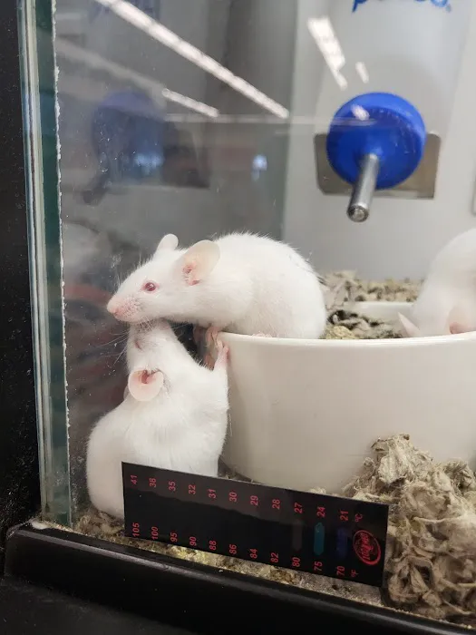 Petco Picture 7