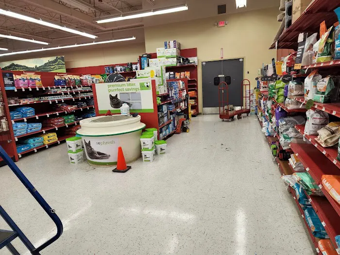 Petco Picture 4