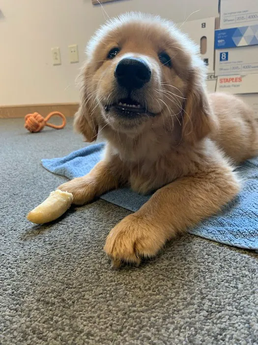 Valley Animal Hospital LLC Picture 1