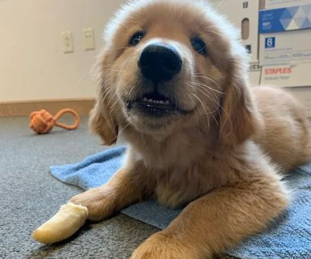 Valley Animal Hospital LLC