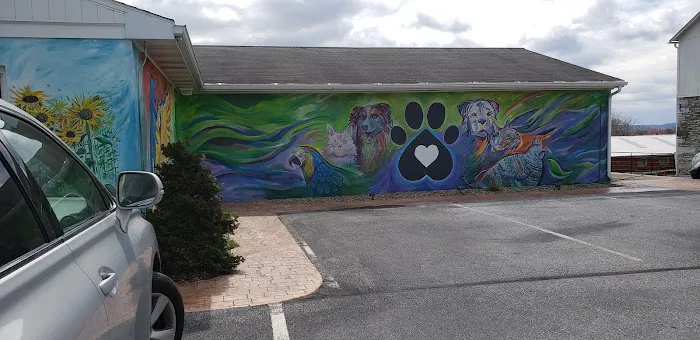Valley Animal Hospital LLC Picture 9