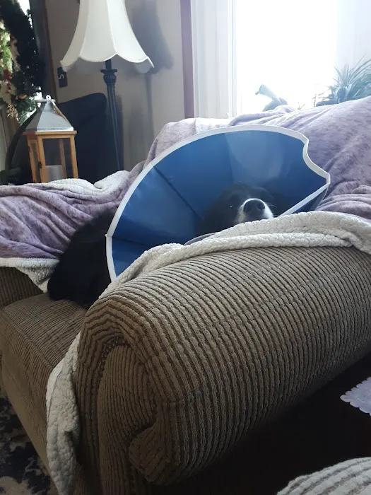 Valley Animal Hospital LLC Picture 8