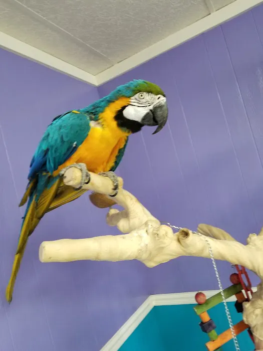Valley Animal Hospital LLC Picture 10