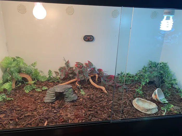 LLLReptile & Supply Phoenix Picture 2