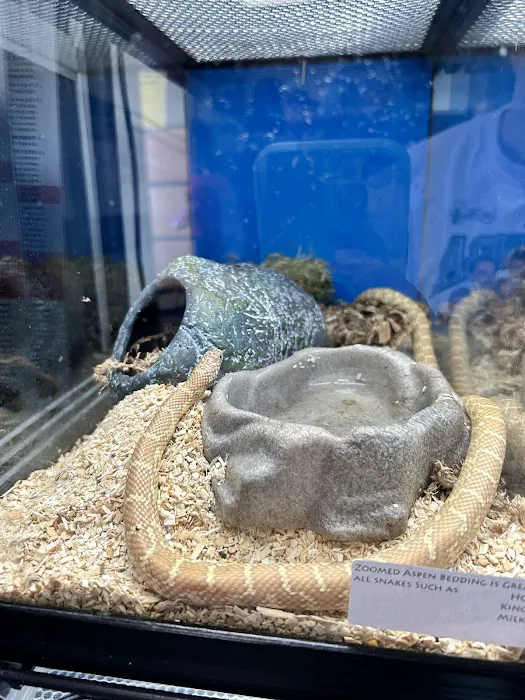LLLReptile & Supply Phoenix Picture 4